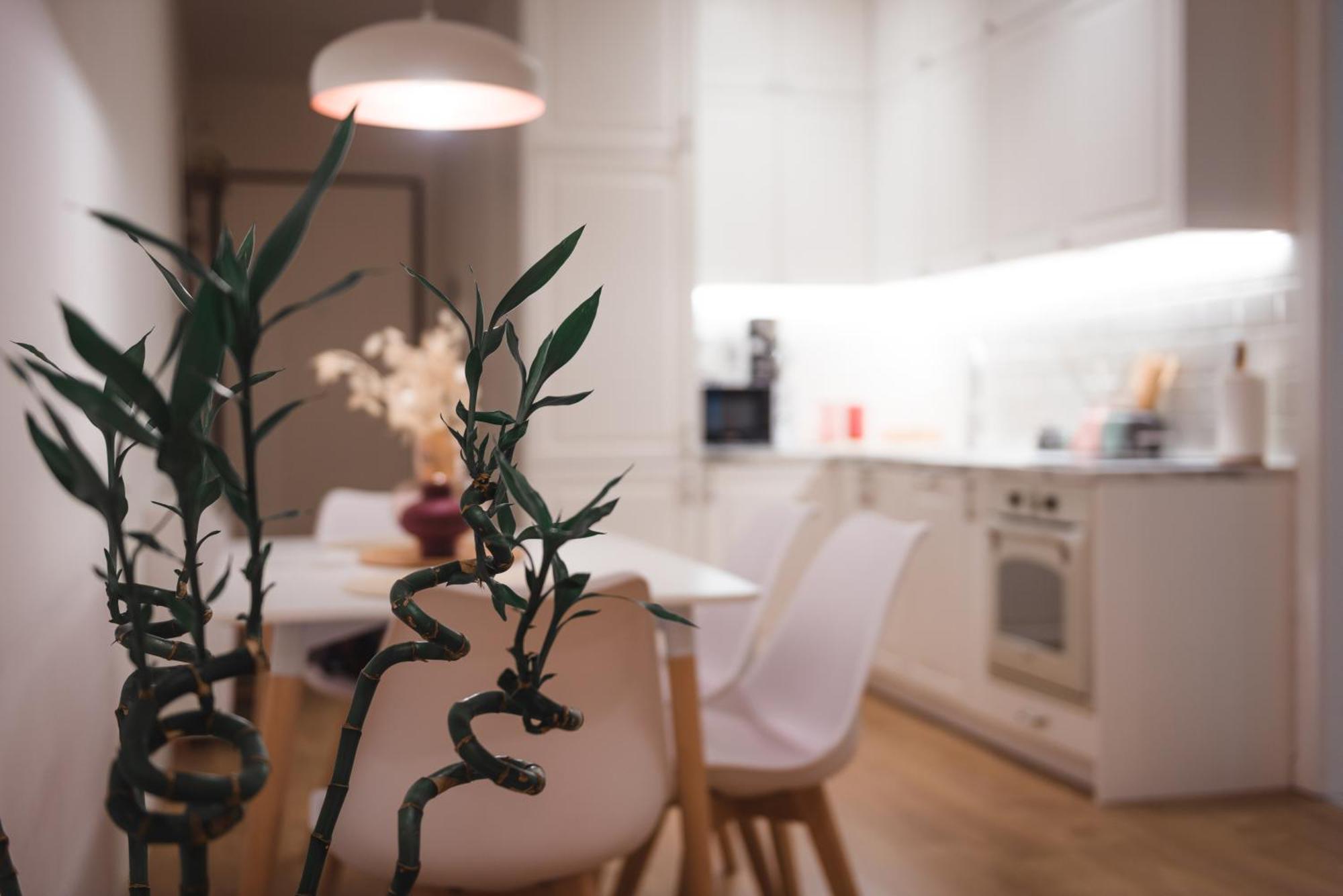 Tam Skanderbeg Square Serviced City Center Apartment No1 Tiranë Luaran gambar